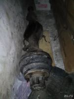 Лот: 8961174. Фото: 2. Мост ISUZU ELF. Автозапчасти