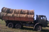 Лот: 2997285. Фото: 4. Продам сено в рулонах 2015 года. Красноярск