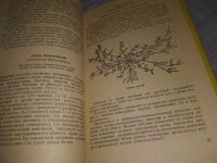 Лот: 18970359. Фото: 17. Подымов А. И., Суслов Ю. Д. Лекарственные...