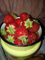 Лот: 14028029. Фото: 2. Виктория. Продукты