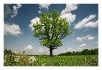 Лот: 1779503. Фото: 3. Циркулярный поляризационный фильтр... Фото, видеокамеры, оптика