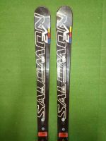 Лот: 25887031. Фото: 2. Горные лыжи Salomon GS Lab 183. Лыжи