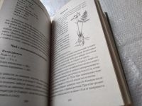 Лот: 19383743. Фото: 3. (3092339)Хворостухина С.А. Все... Литература, книги