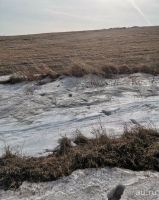 Лот: 15679975. Фото: 4. Земельный участок ИЖС. Красноярск
