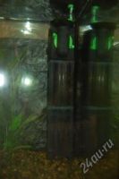 Лот: 932497. Фото: 3. фильтр внутренний Tetra in1000... Растения и животные