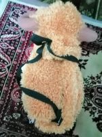 Лот: 15071316. Фото: 2. Рюкзачок 3. Игрушки