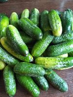 Лот: 23460417. Фото: 2. Огурцы свежие большие. Продукты