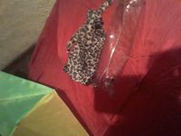 Лот: 21132592. Фото: 3. Зонтики под ремонт. Одежда, обувь, галантерея