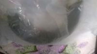 Лот: 3298364. Фото: 3. Колодка тормозная ручного тормоза... Авто, мото, водный транспорт