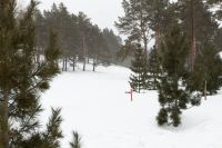 Лот: 7094367. Фото: 9. Коттедж посуточно с шикарным бассейном...