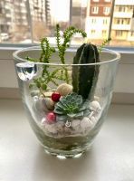 Лот: 24278573. Фото: 3. Флорариум. Подарок. Декор. Суккуленты... Красноярск