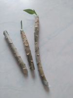 Лот: 21445729. Фото: 2. Плюмерия (франжипани). Комнатные растения и уход