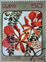 Лот: 12956745. Фото: 4. Марки Флора. Куба. Карибские цветы...