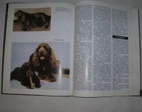 Лот: 6746994. Фото: 2. ваш друг спаниель пасик в. и. Литература, книги