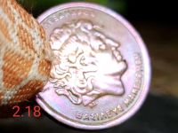 Лот: 11686865. Фото: 3. 100 драхма 1990г. люкс! Греция. Коллекционирование, моделизм