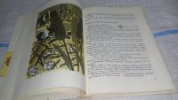 Лот: 11606895. Фото: 6. (2092311)Необычный дирижер, Михаил...