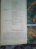 Лот: 13397206. Фото: 6. Наш сад и огород. Справочник садовода...