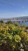 Лот: 24698335. Фото: 7. Студия 25м от собственника