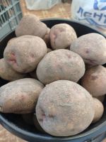 Лот: 25849052. Фото: 2. Картофель. Деревенский. Продукты