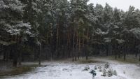 Лот: 4983325. Фото: 7. Дом Есаульский бор