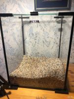 Лот: 13686604. Фото: 3. Аквариум креветочник Aquael Box... Растения и животные