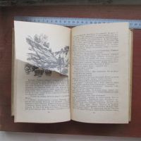 Лот: 25799733. Фото: 8. Книга Купол на Кельме. Гуревич...