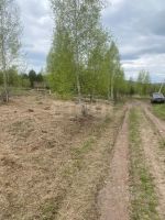 Лот: 25403482. Фото: 5. участок , деревня Свищево деревня...