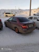 Лот: 17063819. Фото: 3. Nissan Bluebird Sylphi. Красноярск