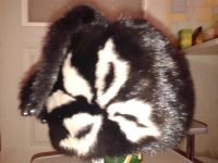 Лот: 6494242. Фото: 4. Продам норковую шапку. Красноярск