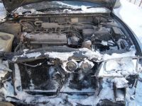 Лот: 281760. Фото: 2. тойота королла. Авто, мото, водный транспорт