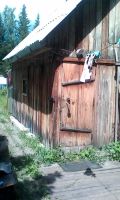 Лот: 9945635. Фото: 4. Дача Рябинино. Красноярск