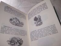 Лот: 17793621. Фото: 6. Гаррисон Гарри, Зима в Эдеме...