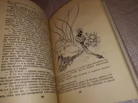 Лот: 20772307. Фото: 3. Стругацкий Аркадий, Стругацкий... Красноярск