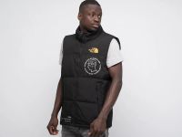 Лот: 18814006. Фото: 2. Жилет The North Face. Мужская одежда