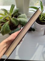 Лот: 25770257. Фото: 3. Книга Нил Гейман - Звездная пыль... Красноярск