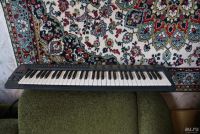 Лот: 9949870. Фото: 2. midi клавиатуру Evalution MK 261. Музыкальные инструменты