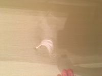 Лот: 13306275. Фото: 3. Комплект штор. Домашний быт