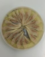 Лот: 16803762. Фото: 2. Сельдь Филе. Продукты