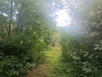 Лот: 25589187. Фото: 6. 1-комн. дача , садоводческое некоммерческое...