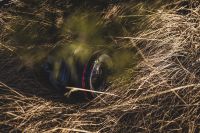 Лот: 5338177. Фото: 2. Canon TS-e 24mm f3.5 (tilt-shift... Фото, видеокамеры, оптика