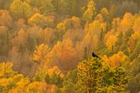 Лот: 8573684. Фото: 4. Юпитер 37a. Дешего.