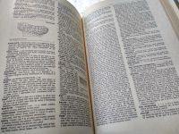 Лот: 18420741. Фото: 6. (2092322)Longman Dictionary of...