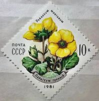 Лот: 12956941. Фото: 6. Марки Флора. СССР. Цветы украинских...