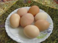 Лот: 7463021. Фото: 2. Домашние яйца. Продукты