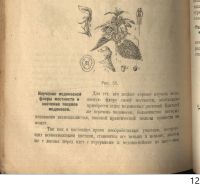 Лот: 19930807. Фото: 21. Буткевич А.С. Азбука доходного...