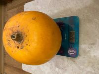 Лот: 2268330. Фото: 2. Тыква / тыквы / тыковки / 4 кг... Продукты