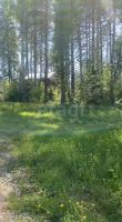 Лот: 25810324. Фото: 5. участок , село Овсянка улица Новосёлов-2...
