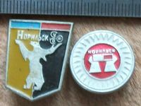 Лот: 12119554. Фото: 2. Значок город Норильск медведь... Значки, медали, жетоны