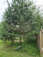 Лот: 25508577. Фото: 19. участок , садоводческое некоммерческое...