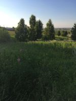 Лот: 18317472. Фото: 4. Земельный участок. Красноярск